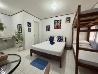 Catio Apartments - Panglao Island - 9