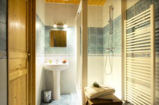 Résidence Alexandre & Chartreuse - CHALET ALEXANDRE MAE-9571 - Vénosc - 1