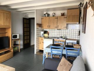 Résidence Gemeaux - APPARTEMENT ALPE D'HUEZ AVENUE DU RIF NEL MAE-2801 - Huez - 9