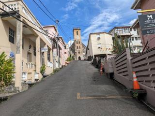 Hill Top Rentals - Saint George's - 4
