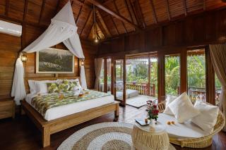 Anantra Bali Eco Villa - Ubud - 9