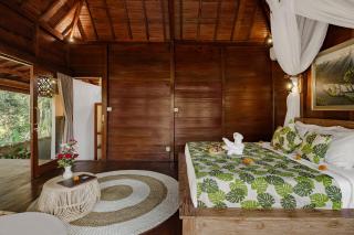 Anantra Bali Eco Villa - Ubud - 2