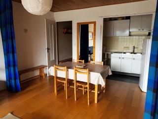 Résidence Choucas - APPARTEMENT ALPE D'HUEZ AVENUE DU RIFNEL MAE-3691 - Huez - 1
