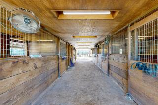 Windmill Trails Farms - Unit A: Barn Loft - Tylertown - 7