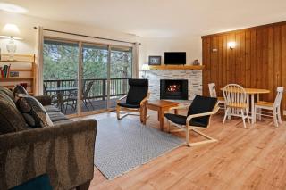 Ski Condo 110 condo - 0