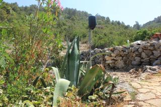 Seaside secluded apartments Cove Dragnjevica - Telascica, Dugi otok - 8140 - Sali - 3