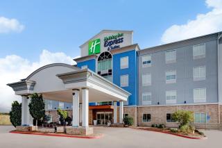 Holiday Inn Express Hotel & Suites Dallas West by IHG - Dallas - 9