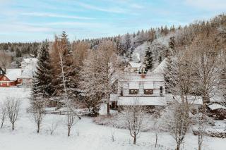 Harzchalet 2B - Elend - 8