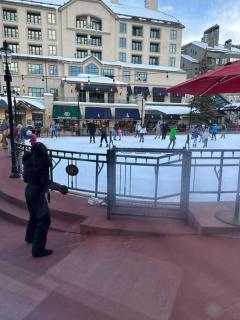 5 Bed with loft 6ba ski in and out amazing views Beaver Creek - Beaver Creek - 6