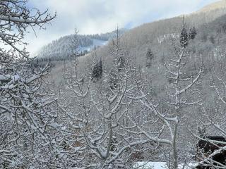 5 Bed with loft 6ba ski in and out amazing views Beaver Creek - Beaver Creek - 3