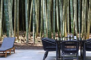 and FOREST勝浦 竹の離れ 美しい竹林に囲まれ露天風呂とSAUNAを楽しむ大人の離れ 天然鉱泉 BBQ ペット 最大8名 勝浦 - Katsuura - 4