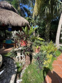 Casamaya 848 - Cozumel - 1