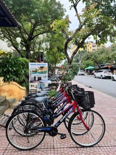 Ancient Haven - Hoi An - 4