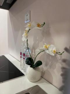 Căn hộ 1 ngủ Haven Park Ecopark tầng cao view đẹp - 5