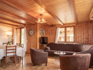Appart 9 pers. avec Sauna et Spa au pied des pistes, parking privé - FR-1-467-142 - Le Grand-Bornand - 9