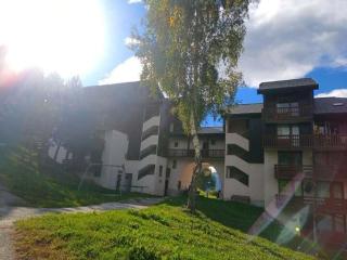 Charmant studio ski aux pieds avec terrasse et parking - FR-1-181-2847 - Aime-la-Plagne - 9