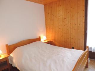 Appartement spacieux avec sauna et spa, proche des pistes - FR-1-467-143 - Le Grand-Bornand - 6