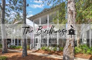 The Birdhouse in Luxury Watercolor Brand New 6 Seat Golf Cart - Santa Rosa Beach - 0