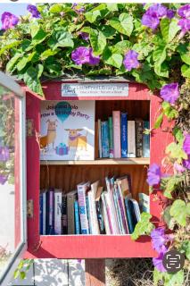 The Sacred Space - Solana Beach - 8