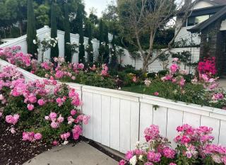 The Sacred Space - Solana Beach - 9
