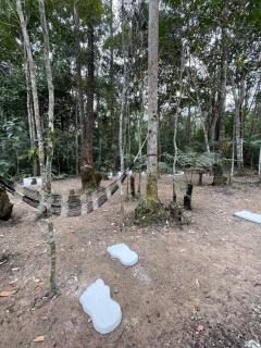 Bosque na Montanha Encantada - Mogi das Cruzes - 1