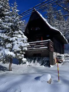 Dylan - Jahorina - 0