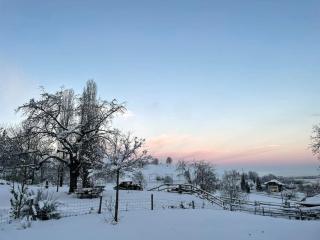 Cloud Garden Maisonette - Spiez - 4