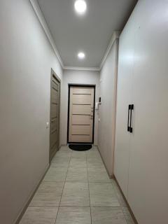 1 комнатные апартаменты в центре Алматы - Almaty - 1