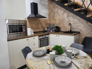 Sika Palladium Garden & Spa Central Apartment Arad - Arad - 6