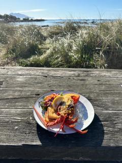 Mangamaunu Cottage - Kaikoura - 3