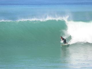 Mangamaunu Cottage - Kaikoura - 2