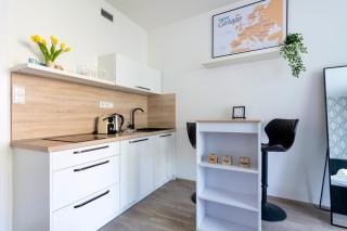 200Mb WIFI, Supermarket On-site, 12min City Center - Prague - 5