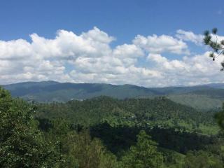 Shanti Kunj Home Stay - Almora - 0