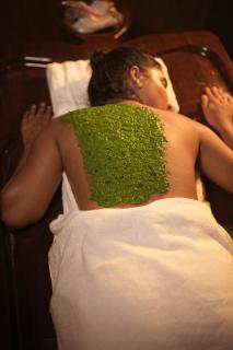 Namasthe Ayurveda and Yoga Retreat - 1