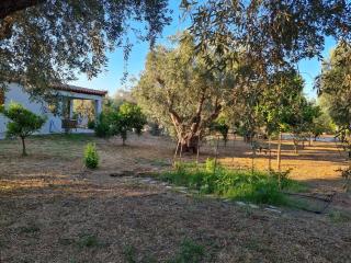 Iriti's Villa - Platanidia - 6