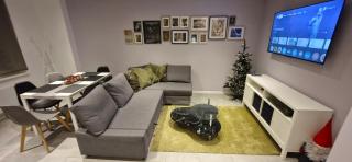 Entire house with arcade machine in a private backyard, 3 bedrooms, 1 bathroom, 1 leaving room with convertible sofa and open kitchen - Mulhouse - 7