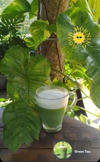 kohkoodfarmstay - Ban Ao Yai - 4