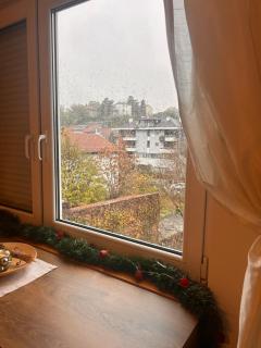 Cozy with parking - Zemun - 9