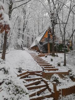 Silent woods Visoko - Biskupići - 5