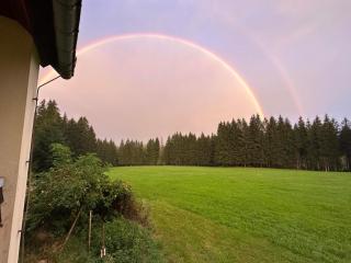 Waldhotel Zöbischhaus - Bad Reiboldsgrün - 5
