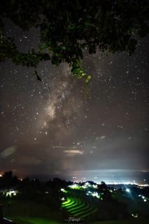 MonNaPaBongPiang Homestay ม่อนนาป่าบงเปียง โฮมสเตย์ - Ban Mae Pan Noi - 2