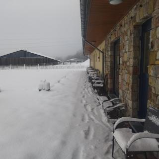 Le Bernister parking privé - 9