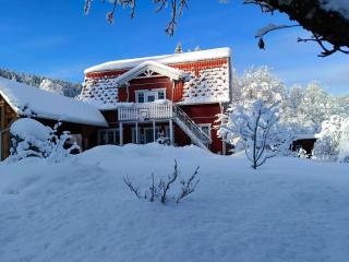 Haus Grünfels ApARTment - Murau - 1
