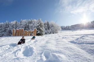 Location saisonnière 4 couchages - Villard-de-Lans - 0
