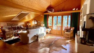 Gstaad - Cozy spacious Flat right in the village - Rougemont - 8