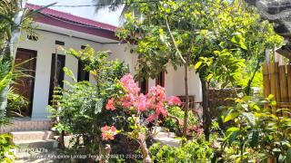 Nadil Homestay - Kuta Lombok - 5