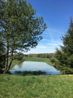 Leśne Zacisze - Augustów - 2