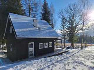Domek Dorota z widokiem na góry Lasówka 5km do Zieleniec Ski Arena - Lasowka - 0