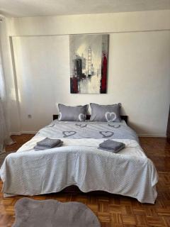 Apartment Banja Luka - Banja Luka - 5