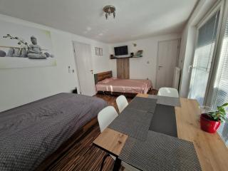 Apartment Dolce Vita - Celje - 7